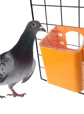 Pigeon Feeder Water Feeding Plastic Food Dispenser Pet Birds