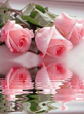 40*30cm DIY 5D Diamonds Embroidery Partial Round Diamond Pai