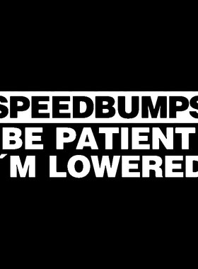 QYPF 15.9cm*6.1cm Speed Bumps BE PATIENT I'M LOWERED Funny V