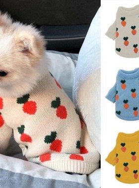 Pet Carrot Knitted Sweater Teddy Dog Clothes Bichon Pomerani