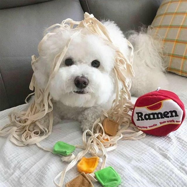 Interactive Ramen Dog Toy Nose Job Noodle Cup Food Dog Small