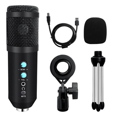 USB Condenser Microphone Studio Recording BM858 Professiona