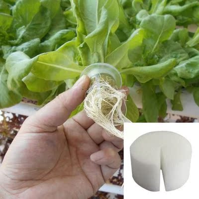 Hydroponic Sponge Green Planting Gardening Vegetable Soilles