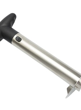 Stainless Steel Pineapple Corer Peeler Cutter Easy Fruit Par