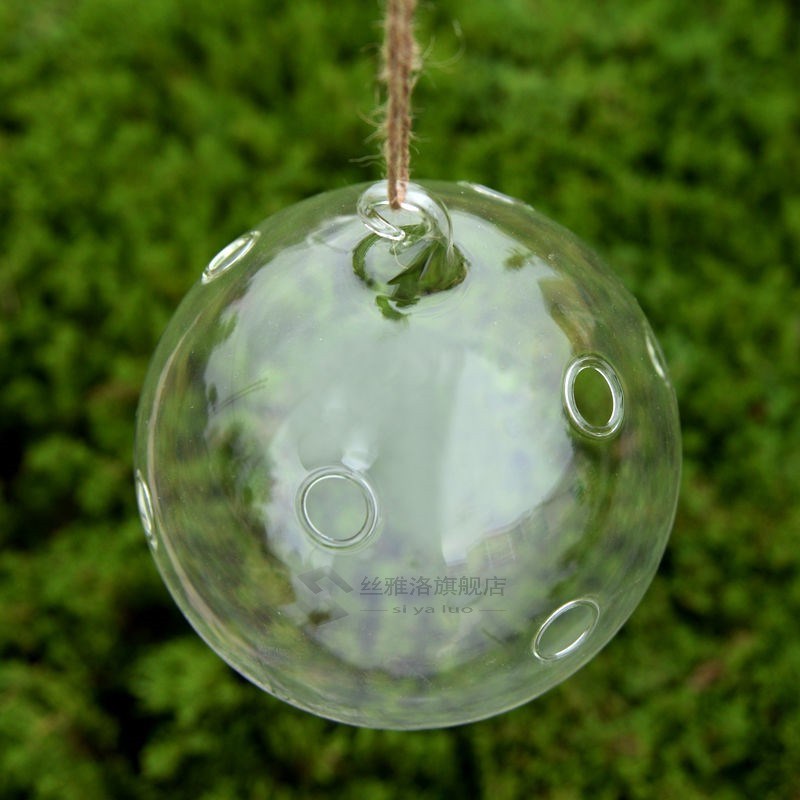 New Home Garden Clear Glass Flower Hanging Vase Planter Terr