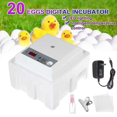 Digital Incubation Box Egg Incubator Automatic Suitable 适用