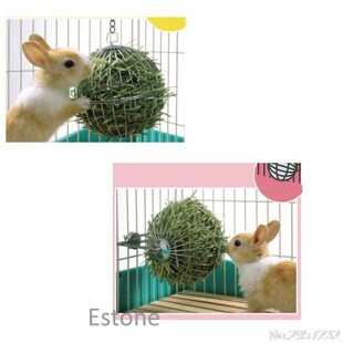 New Sphere Treat Ball Guinea Pig Hamster Rat Rabbit Feed Dis