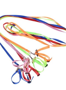 Polia de tra??o para papagaio, pássaro, tartaruga, lagarto,