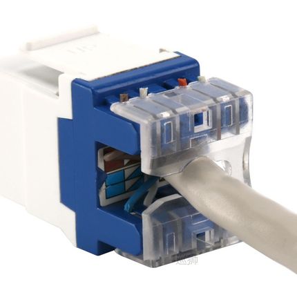 10pcs/25pcs Tool-free CAT5E CAT6 UTP network module RJ45 con