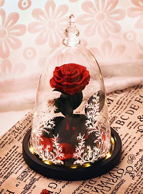 Ainyrose Beauty and The Beast Eternal Rose Red Artificial F