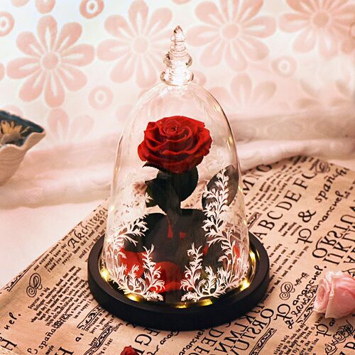 Ainyrose Beauty and The Beast Eternal Rose Red Artificial F