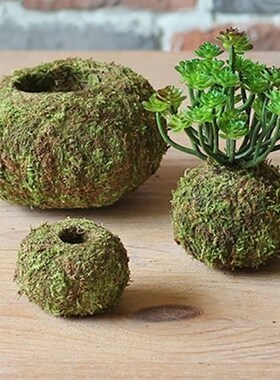 Moss pot home decor office table garden flowers bird's nest