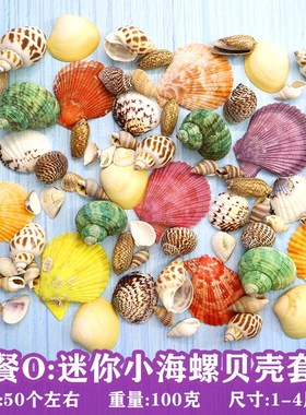 Natural conch shells starfish packages manually diyy punch