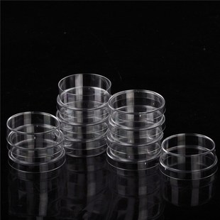 10pcs/lot Practical Sterile Petri Dishes with Lids for Lab P