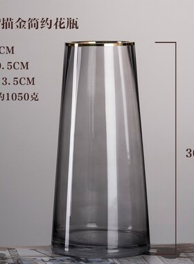 The Nordic model T contracted transparent glass vase home