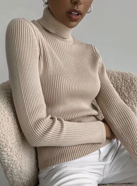 2021 Basic Turtleneck Women Sweaters Autumn Winter Tops Slim