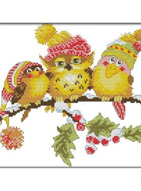 DIY Needlework Pre-Printed Embroidery Starter Kits For