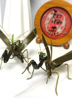 非遗中国棕编螳螂草编小昆虫纯手工制作