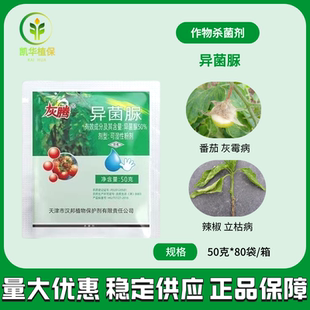 灰腾50%异菌脲番茄灰霉病立枯病辣椒粉剂喷粉正品天津汉邦杀菌剂