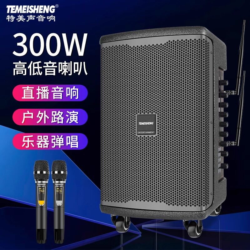 特美声JT10-66户外乐器路