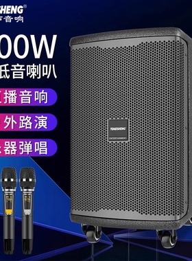 特美声JT10-66户外乐器路演k歌便携吉他萨克斯弹唱直播音箱