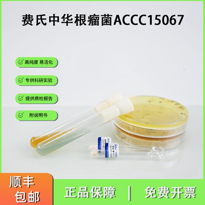 ACCC15067费氏中华根瘤菌 生物固氮农业菌剂 大豆根瘤菌