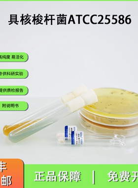 ATCC25586具核梭杆菌 医学研究口腔微生物 可溯源模式菌株