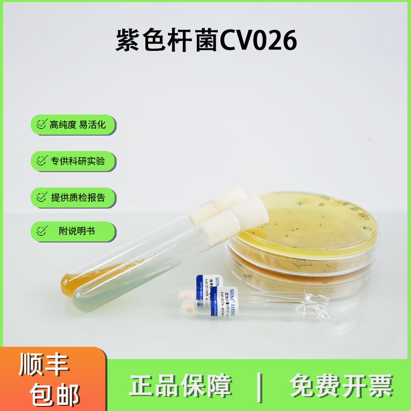 紫色杆菌CV026 AHLs信号分子 群体感应指示标准菌株