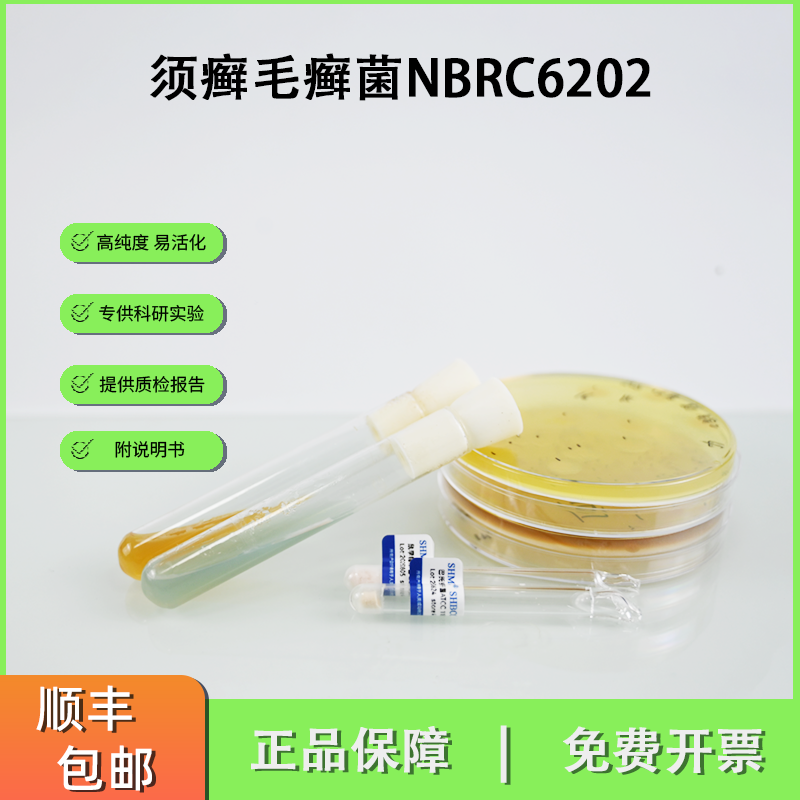 NBRC6202须癣毛癣菌 测试药物敏感性 研究癣病新品菌种