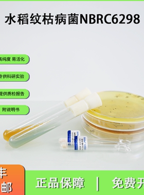 水稻纹枯病菌NBRC6298 药物筛选标准菌株 植物病理研究