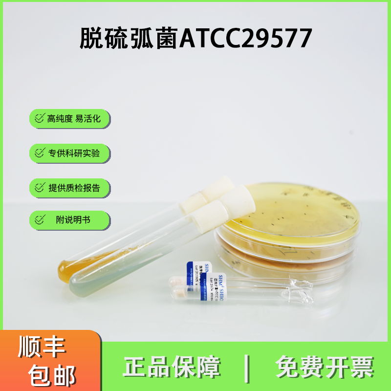 ATCC29577脱硫弧菌NCIB8307 硫酸盐还原SRB
