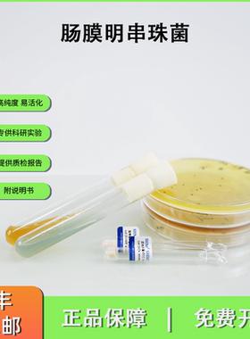 CICC21861肠膜明串珠菌 乳制品发酵 青贮饲料生产 泡菜制作