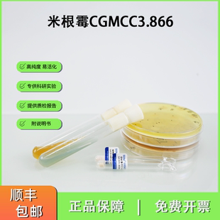 米根霉CGMCC3.866 甜酒曲糖化菌 酿酒发酵高产糖化酶