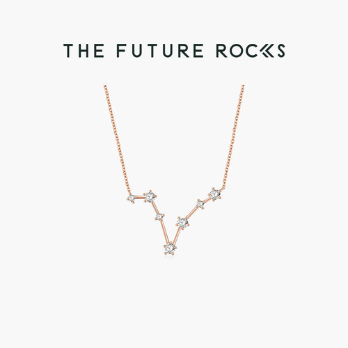 TheFutureRocks项链双鱼座