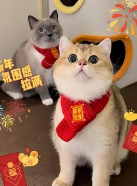猫咪新年围巾憨宠物围脖红色保暖贝中国风口水巾围兜豆狗狗装饰品