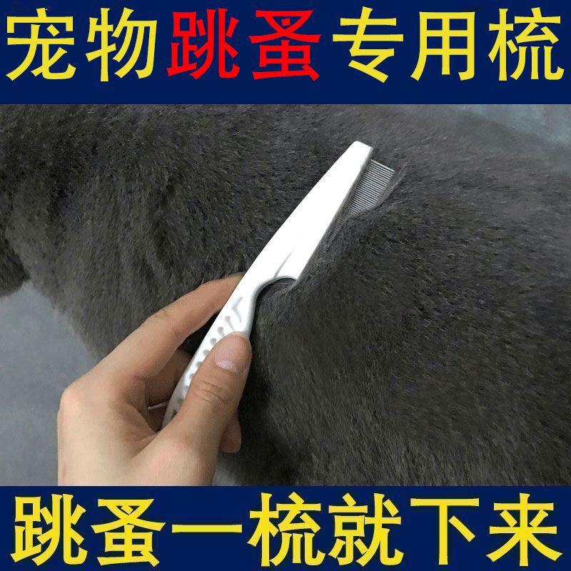 宠物狗狗猫咪去跳蚤虱子针梳密梳排梳毛器去除浮毛梳理工具
