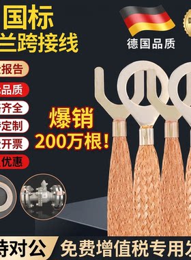 法兰静电跨接线配电箱门跨接线
