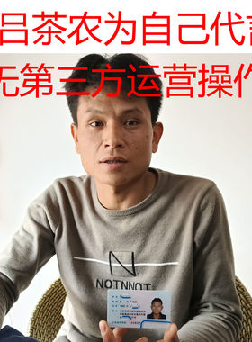 滑竹梁子稀缺的高海拔小树头春茶