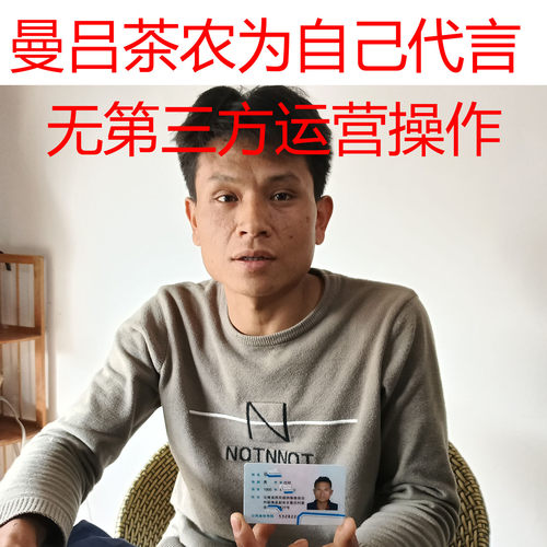 滑竹梁子稀缺的高海拔小树头春茶