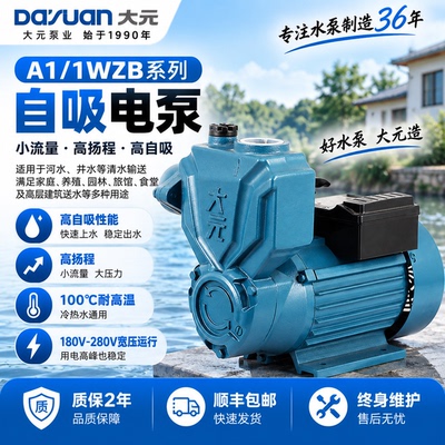 大元全铜电机自吸泵220V/380V