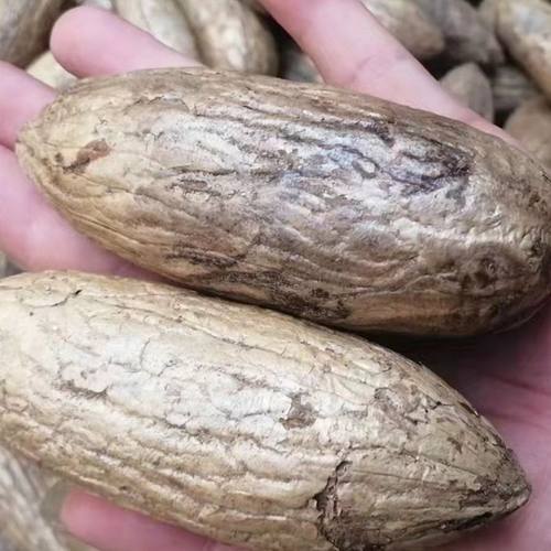 千眼菩提子单颗文玩手把件