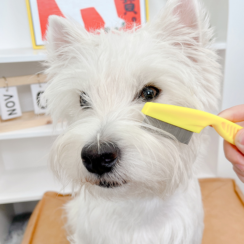 猫狗细节面梳迷你钢梳祛跳蚤眼屎