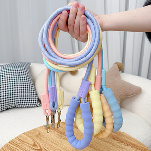 狗狗牵引绳一拖二遛狗绳牵狗绳链子比熊双头宠物外出绳子双狗猫咪