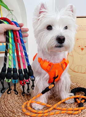 狗狗牵引绳狗绳狗链的绳子遛狗宠物狗用品大全小型犬外出神器猫咪
