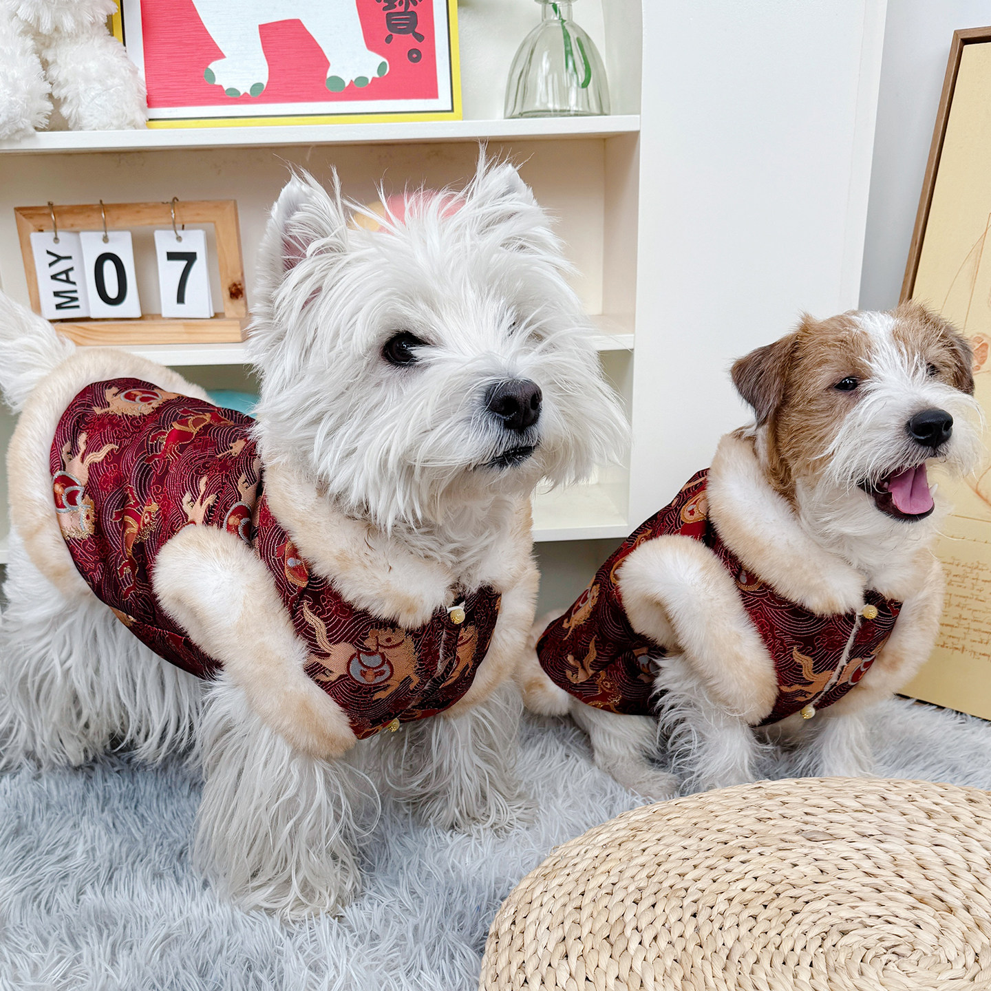 狗狗新年衣服冬小狗比熊冬装猫咪过年喜庆服装泰迪宠物冬季西高地,宠物/宠物食品及用品,狗宠物服装/雨衣,淘宝优惠券,粉丝福利购,淘宝优惠卷