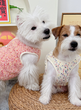 狗狗衣服秋冬宠物棉衣猫咪小狗马甲小猫冬天雪纳瑞泰迪保暖小型犬