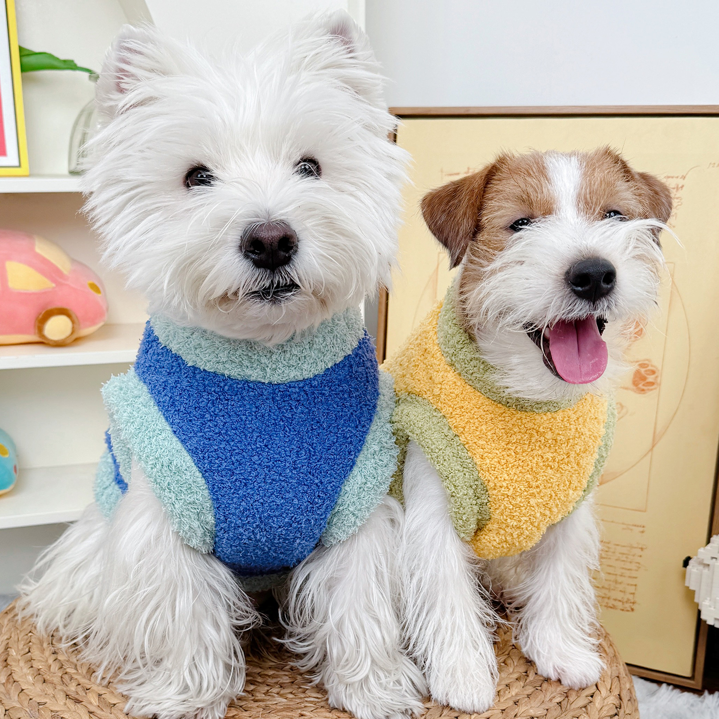 狗狗衣服秋冬宠物棉衣猫咪小狗马甲小猫秋季约克夏泰迪保暖小型犬