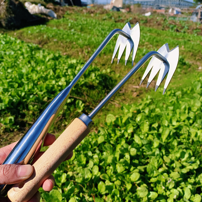 拔草神器不锈钢锄草除草工具多用升级加厚取根新款四齿连根拔起