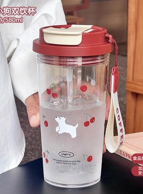 新款2025水杯女生高颜值咖啡双饮杯吸管大容量耐高温塑料夏天杯子