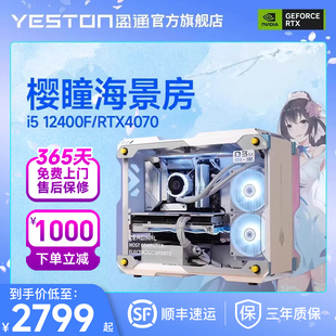 RX4060Ti 盈通i5 机全套整机 12400F 4060炽果海景房台式 电脑主机高配吃鸡电竞游戏直播DIY组装 4070花嫁